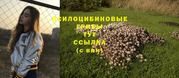 хмурый Баксан
