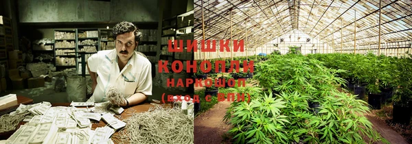 твердый Иннополис