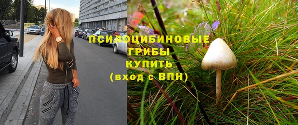 дживик Краснослободск