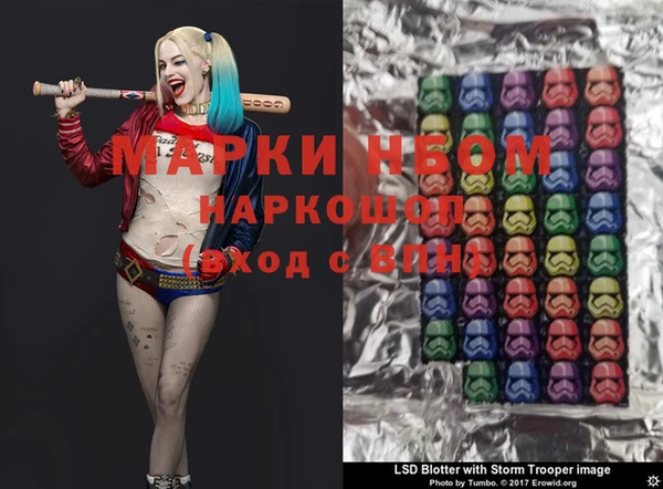 PSILOCYBIN Инсар